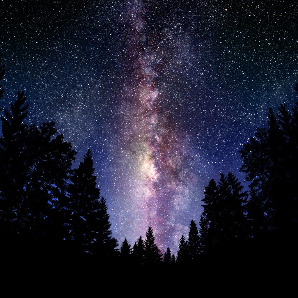 Обои небо, млечный путь, ночь, космос, обои, лес, фото, звезды, пейзажи, the sky, the milky way, night, space, wallpaper, forest, photo, stars, landscapes разрешение 2560x1600 Загрузить