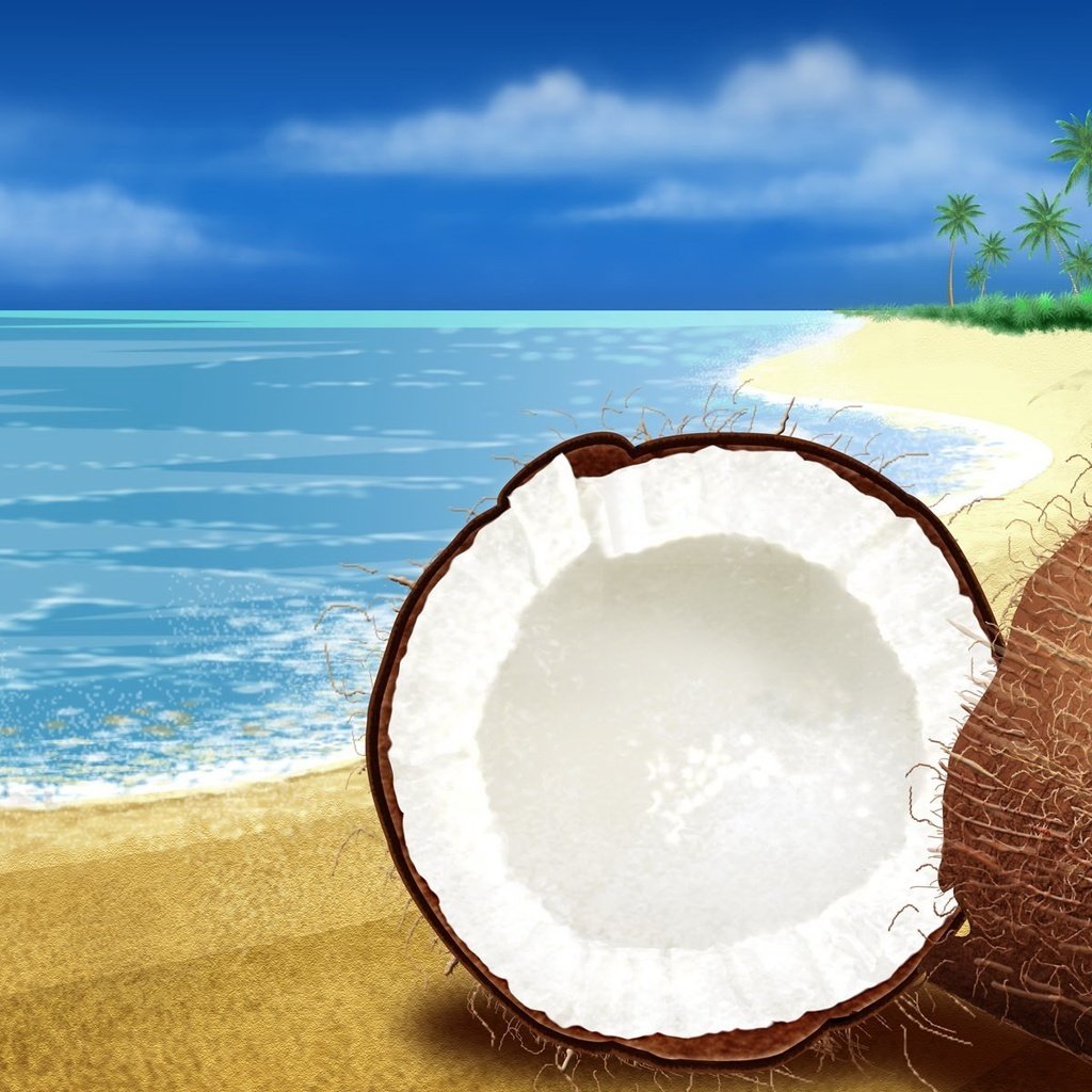 Обои море, песок, кокос, sea, sand, coconut разрешение 1920x1200 Загрузить