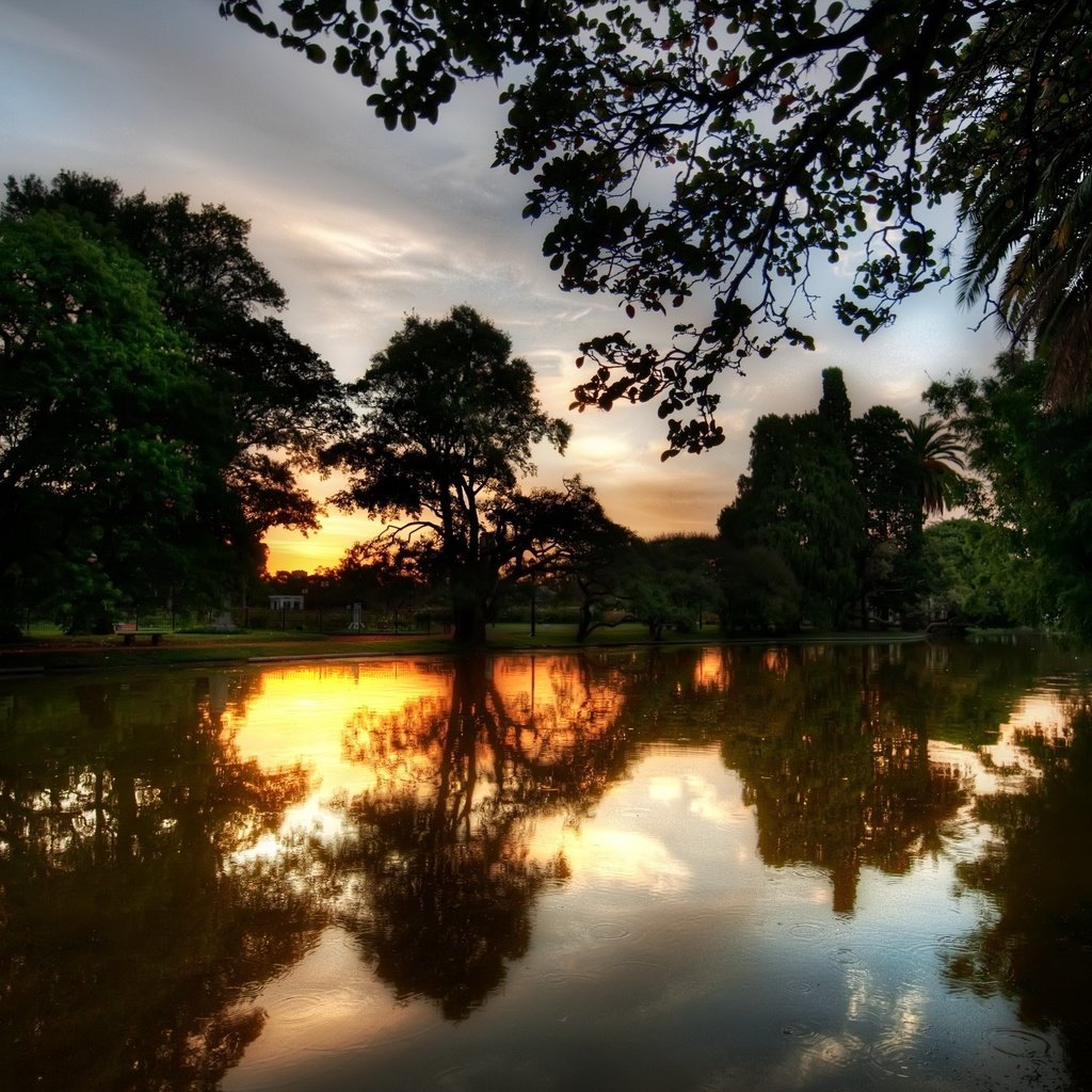 Обои деревья, река, закат, отражение, trees, river, sunset, reflection разрешение 2560x1600 Загрузить