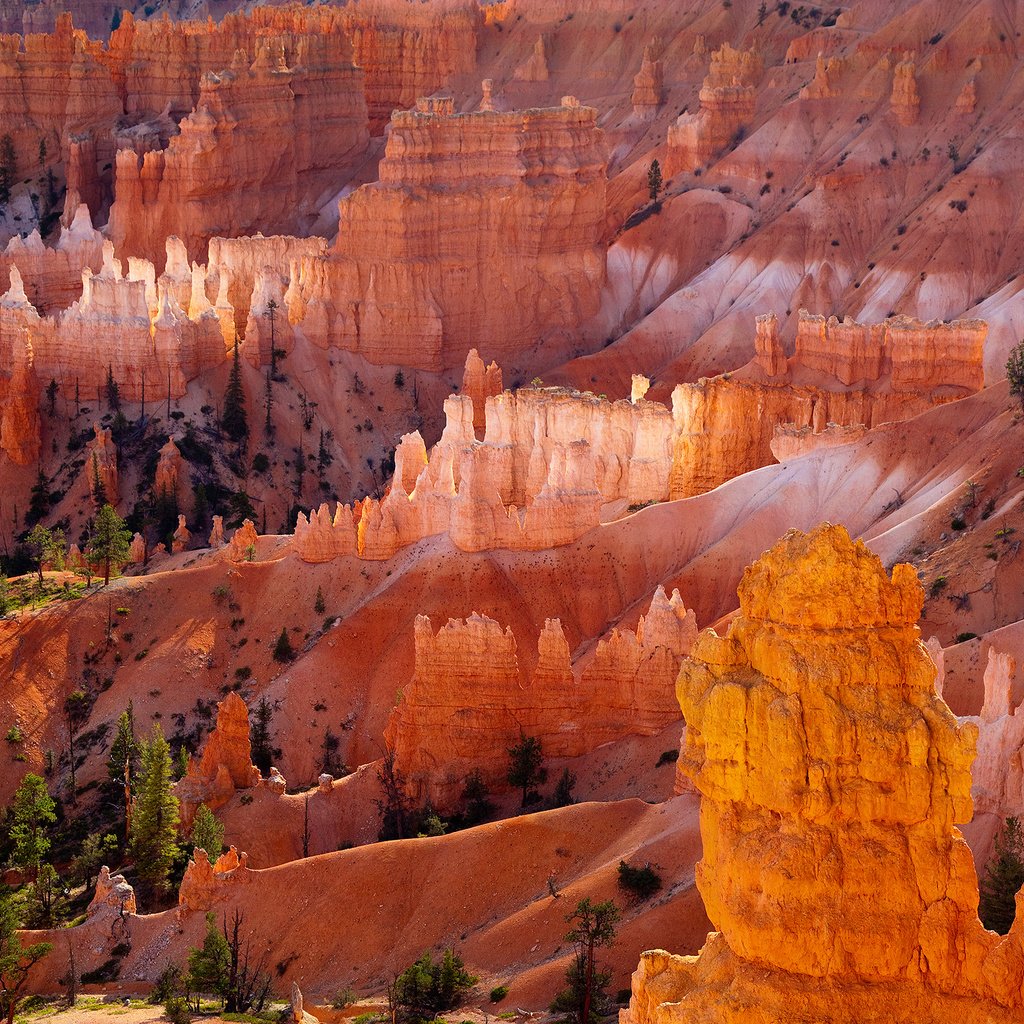 Обои скалы, пустыня, оранжевый, брайс-каньон, плато юта, rocks, desert, orange, bryce canyon, plateau utah разрешение 2560x1600 Загрузить