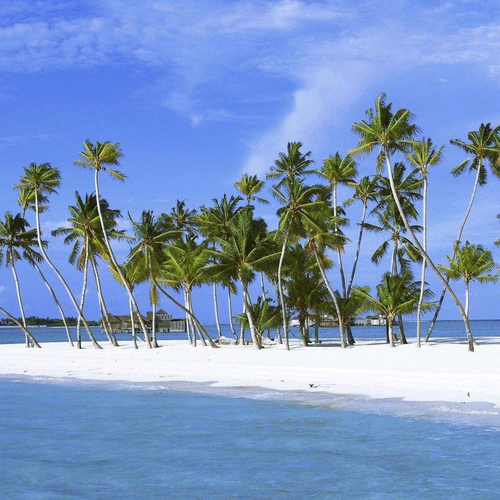 Обои песок, пальмы, остров, sand, palm trees, island разрешение 1920x1200 Загрузить