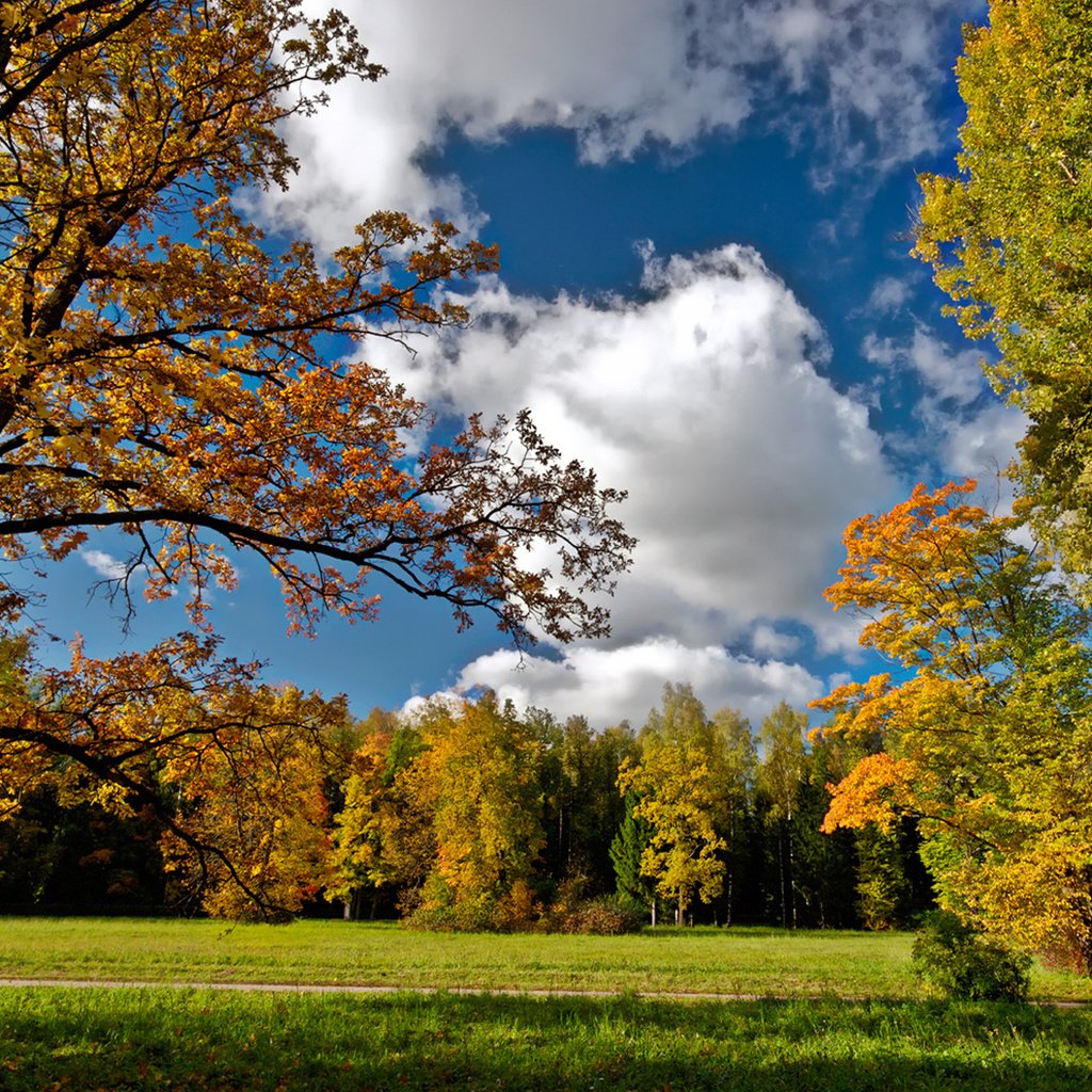 Обои небо, дорога, облака, осень, посадка, осен, the sky, road, clouds, autumn, landing разрешение 1920x1200 Загрузить