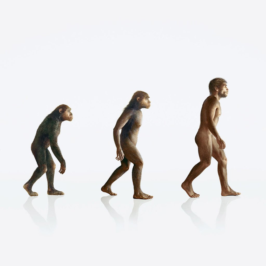 Обои человек, обезьяна, эволюция, people, monkey, evolution разрешение 1920x1200 Загрузить