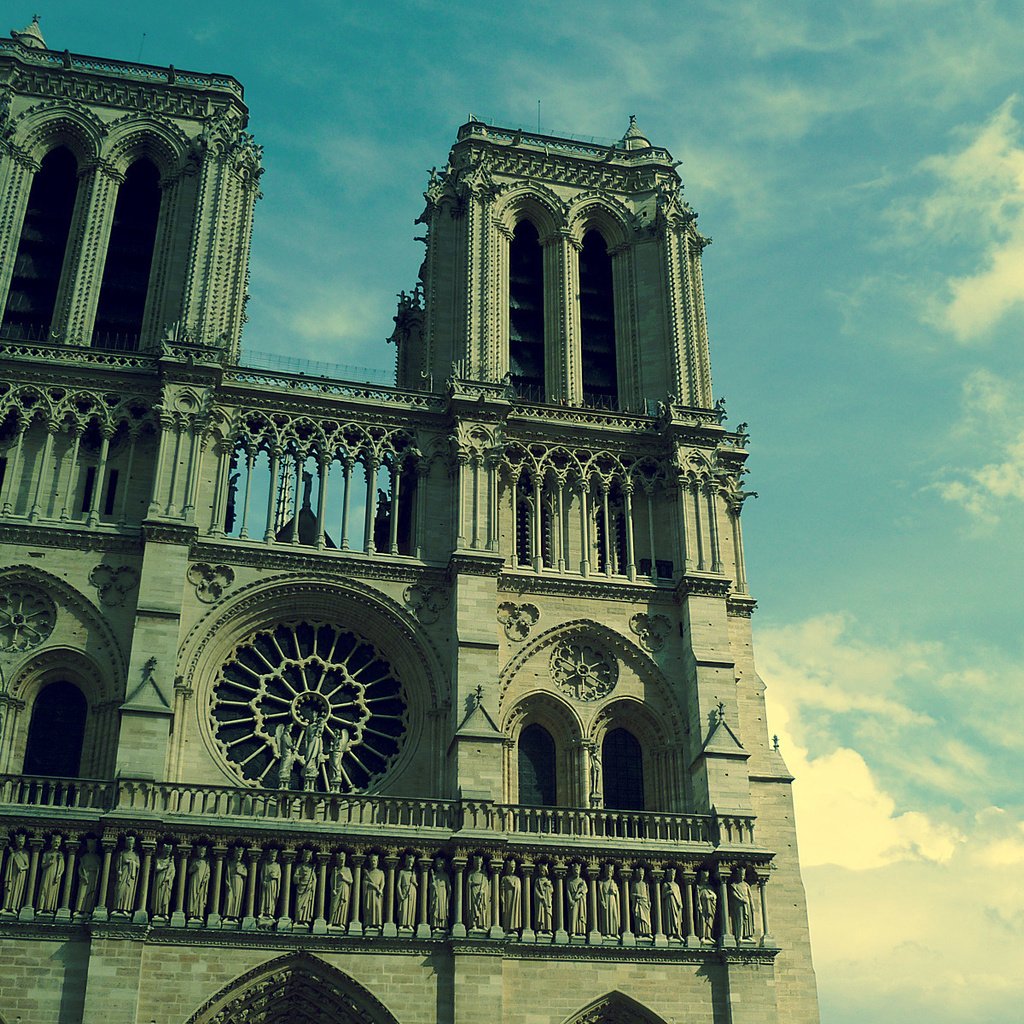 Обои париж, собор парижской богоматери, нотр-дам де пари, paris, notre dame cathedral, notre dame de paris разрешение 1920x1200 Загрузить