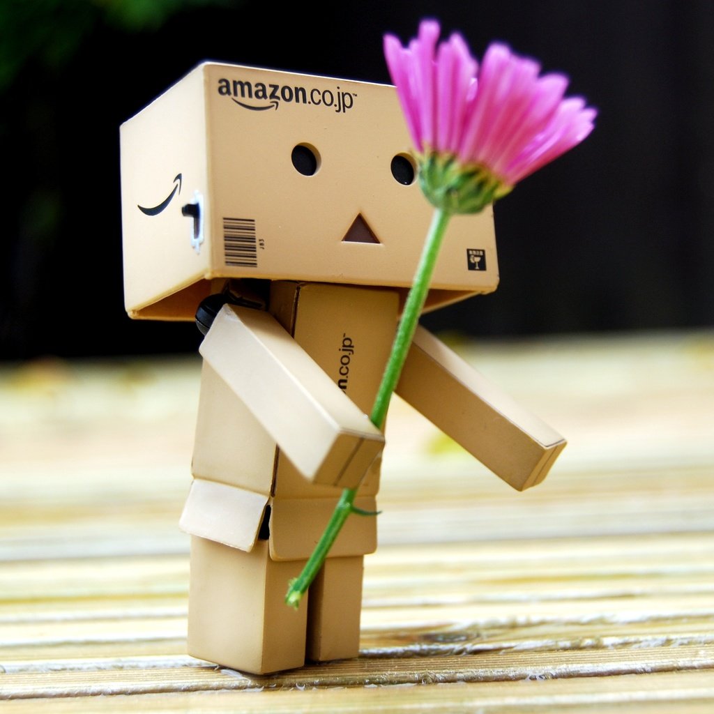 Обои цветок, робот, подарок, игрушечная, danboard, данбо, цветком, короб, flower, robot, gift, toy, danbo, box разрешение 3660x2369 Загрузить