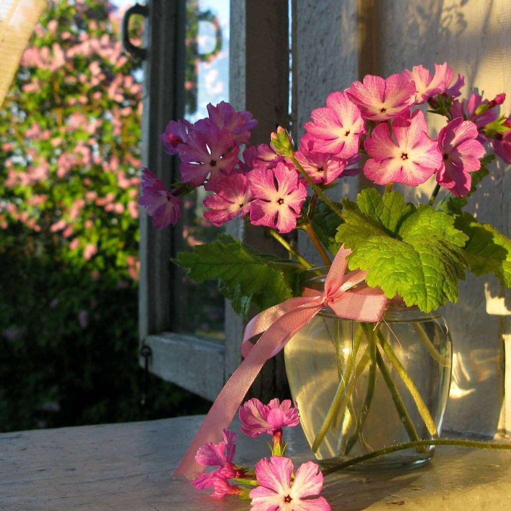 Обои цветы, лето, окно, ваза, занавеска, flowers, summer, window, vase, curtain разрешение 2560x1600 Загрузить
