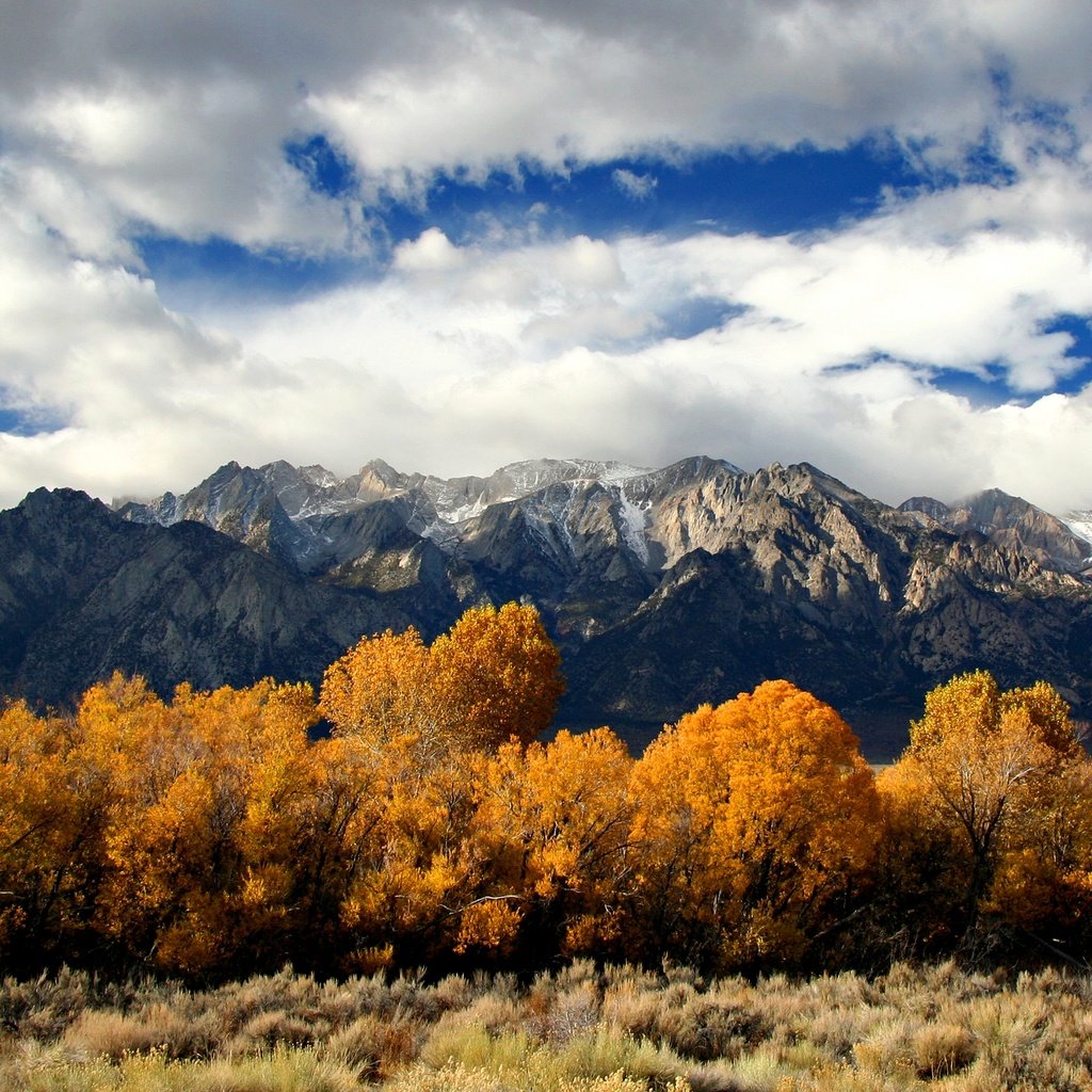 Обои облака, деревья, горы, природа, осень, clouds, trees, mountains, nature, autumn разрешение 2560x1600 Загрузить