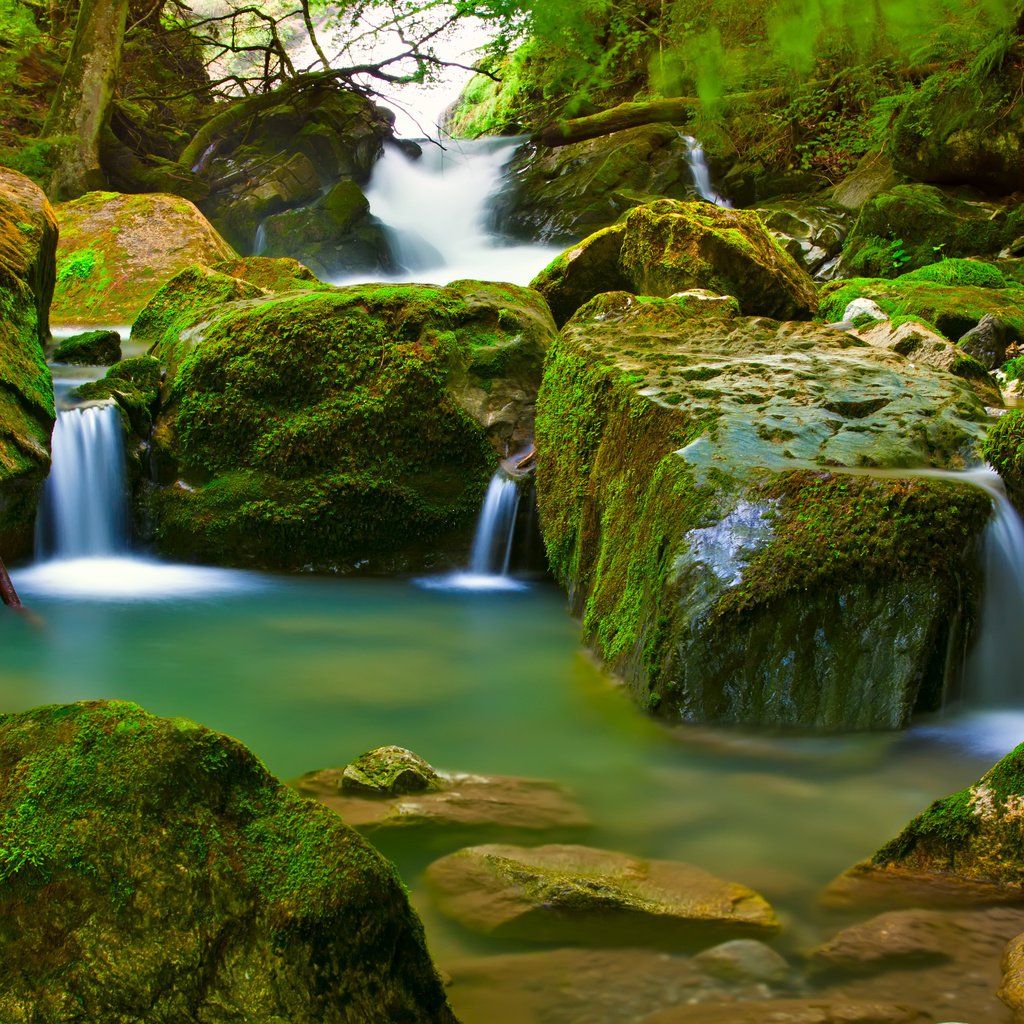 Обои лес, водопад, мох, forest, waterfall, moss разрешение 4752x3168 Загрузить