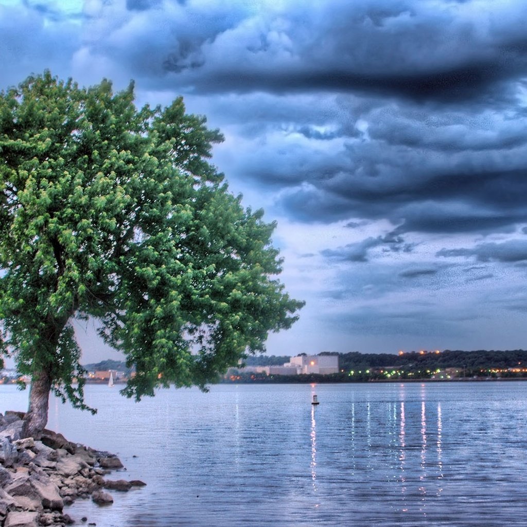 Обои облака, озеро, природа, дерево, отражение, clouds, lake, nature, tree, reflection разрешение 1920x1080 Загрузить