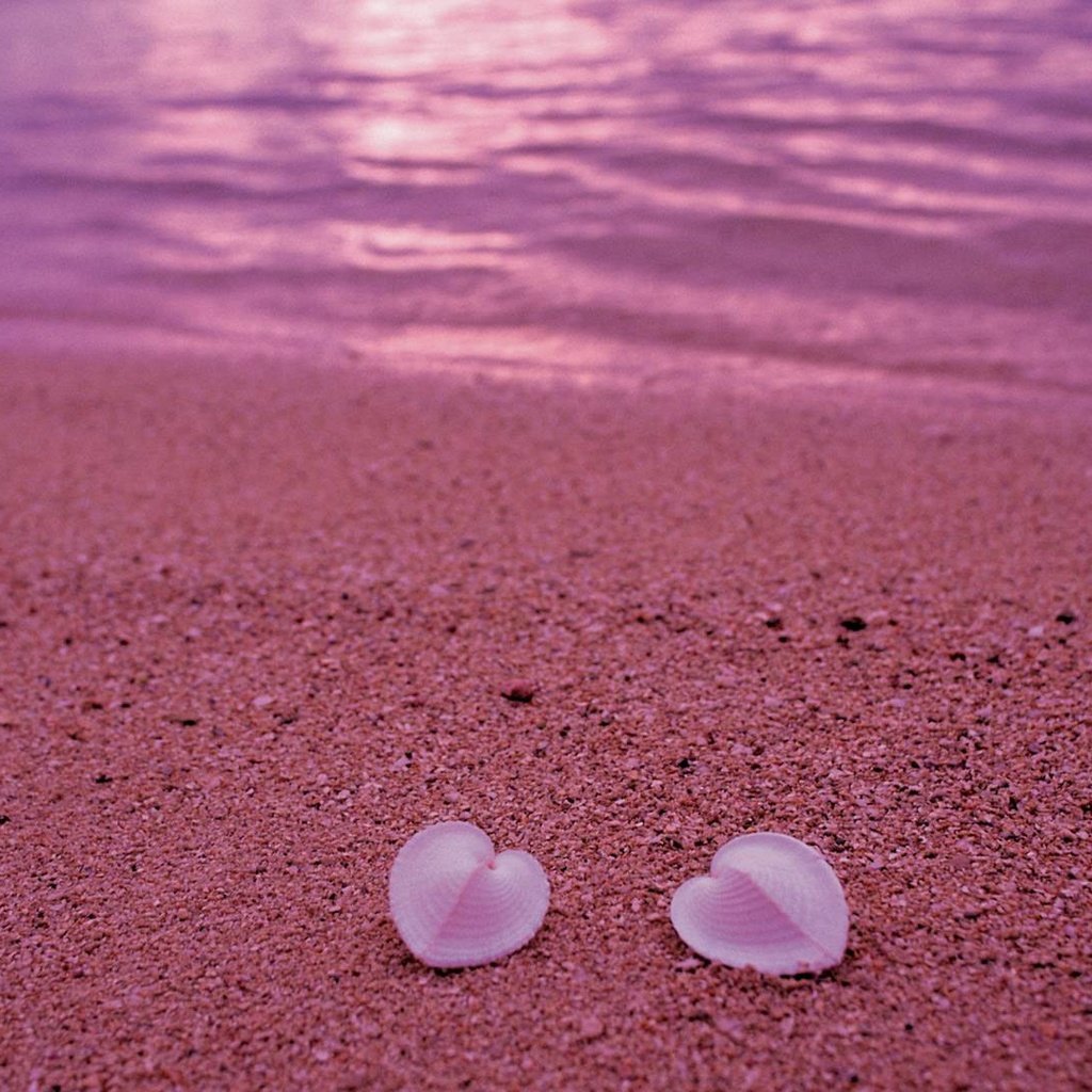 Обои берег, песок, пляж, сердце, ракушки, любовь, розовый, shore, sand, beach, heart, shell, love, pink разрешение 1920x1080 Загрузить