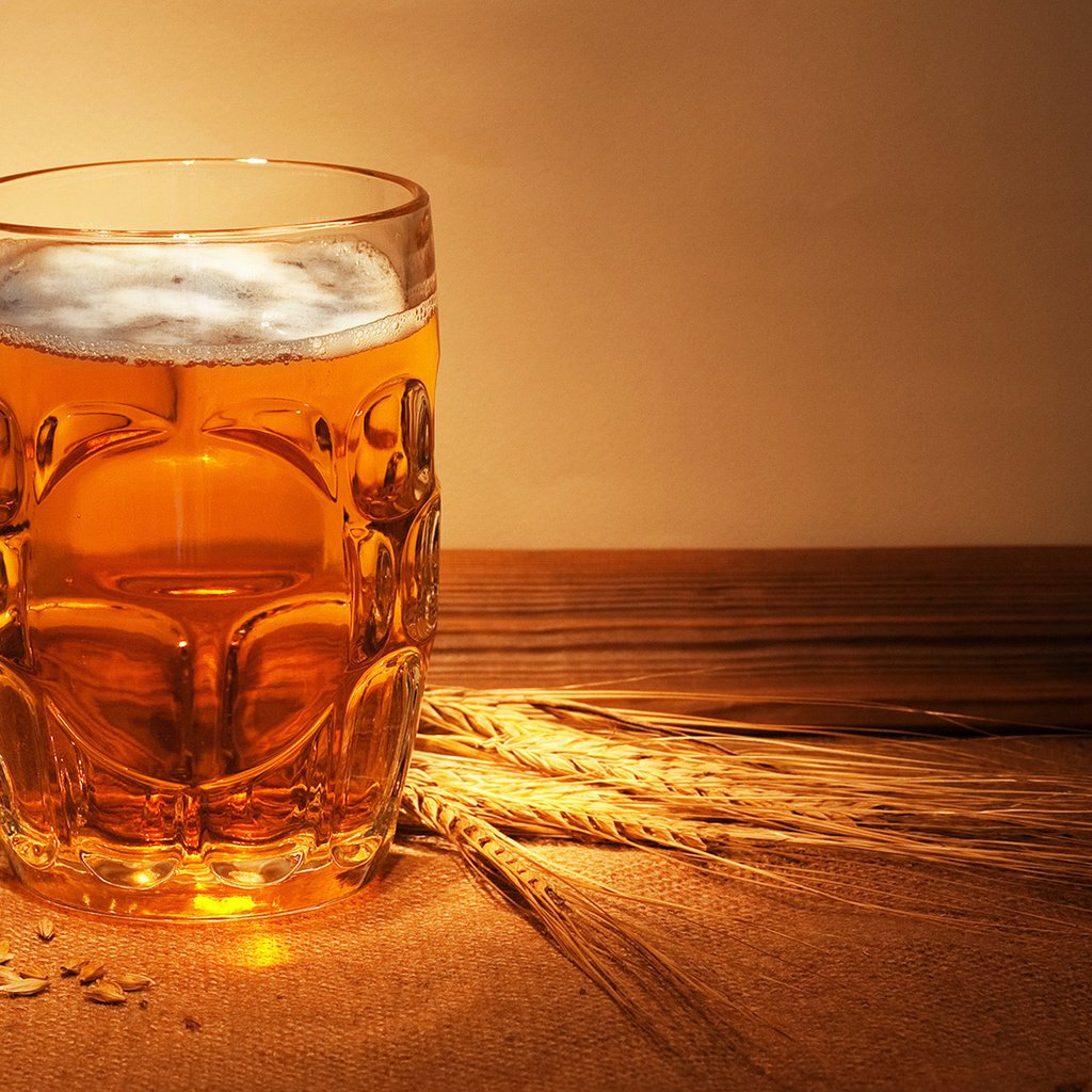 Обои бокал, колосья, кружка, пиво, зерно, квас, купеческий, glass, ears, mug, beer, grain, brew, merchant разрешение 1920x1080 Загрузить