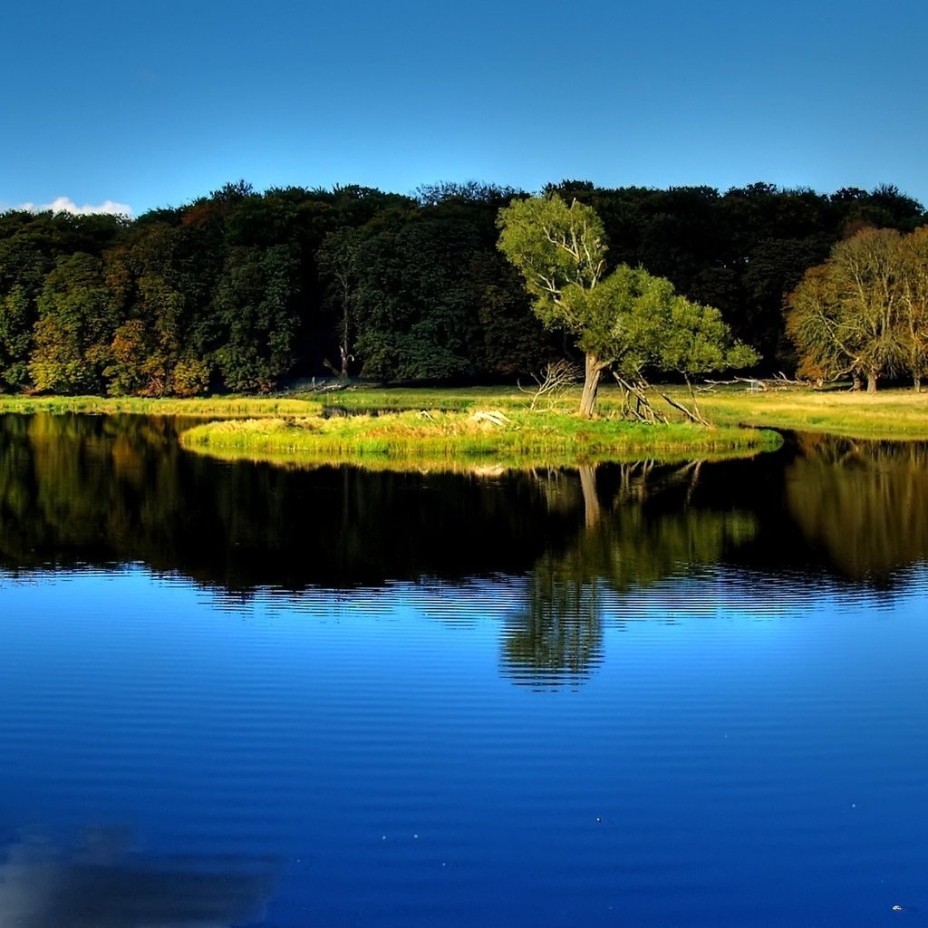 Обои деревья, вода, озеро, лес, отражение, пейзаж, trees, water, lake, forest, reflection, landscape разрешение 1920x1200 Загрузить