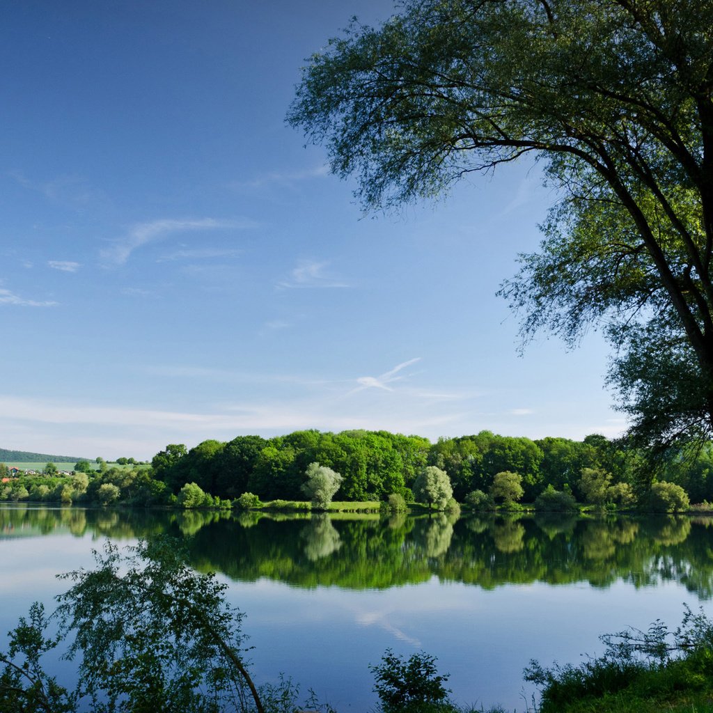 Обои деревья, озеро, река, отражение, лето, водоем, trees, lake, river, reflection, summer, pond разрешение 1920x1200 Загрузить