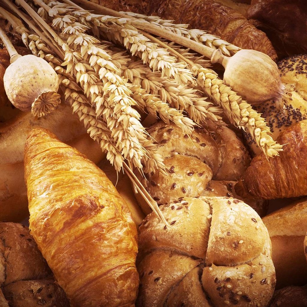 Обои мак, колосья, пшеница, хлеб, выпечка, булочки, круассаны, хлебобулочные изделия, mac, ears, wheat, bread, cakes, buns, croissants, bakery products разрешение 1920x1200 Загрузить