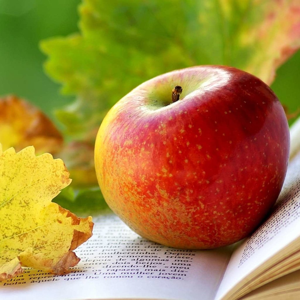 Обои листья, яблоко, книга, leaves, apple, book разрешение 1920x1200 Загрузить