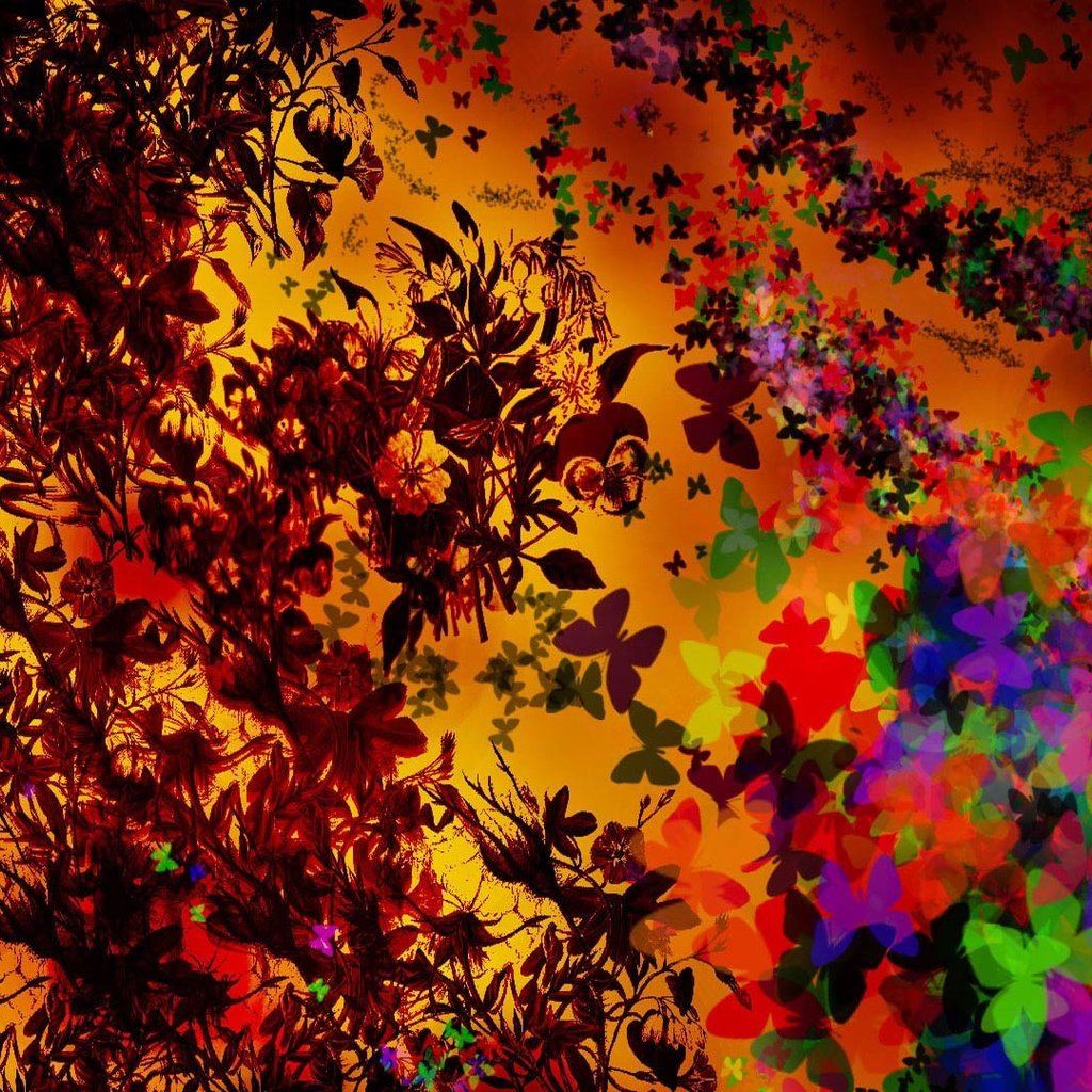 Обои цветы, абстракция, узор, цвет, фракталы, бабочки, flowers, abstraction, pattern, color, fractals, butterfly разрешение 1920x1080 Загрузить