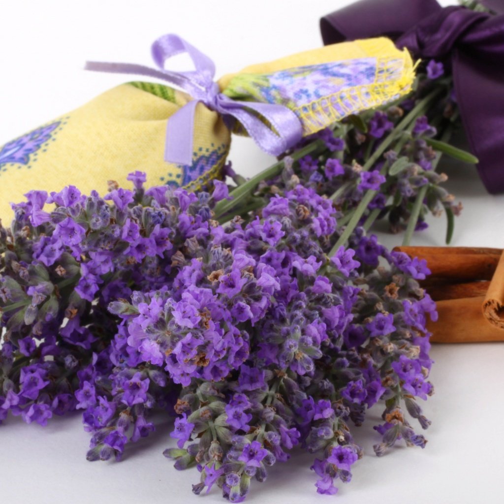 Обои цветы, лаванда, корица, букет, ленточка, flowers, lavender, cinnamon, bouquet, ribbon разрешение 2560x1600 Загрузить