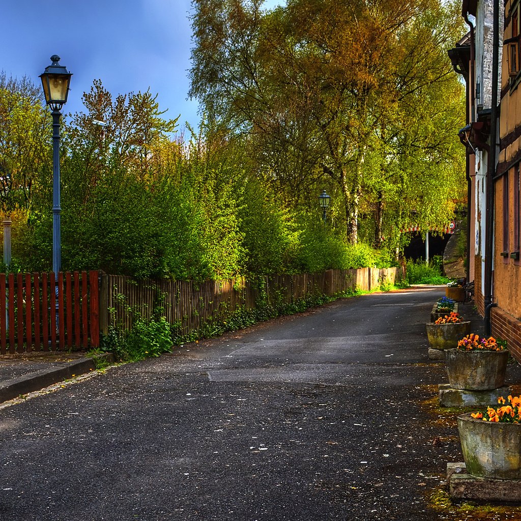 Обои деревья, осень, забор, улица, дом, фонарь, trees, autumn, the fence, street, house, lantern разрешение 1920x1200 Загрузить