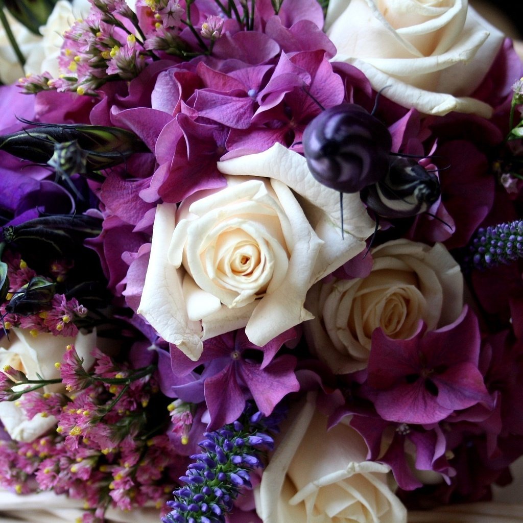 Обои cvety, fioletovyj, cvetok, rozy, cvet, gortenziya, yeust разрешение 2300x1516 Загрузить