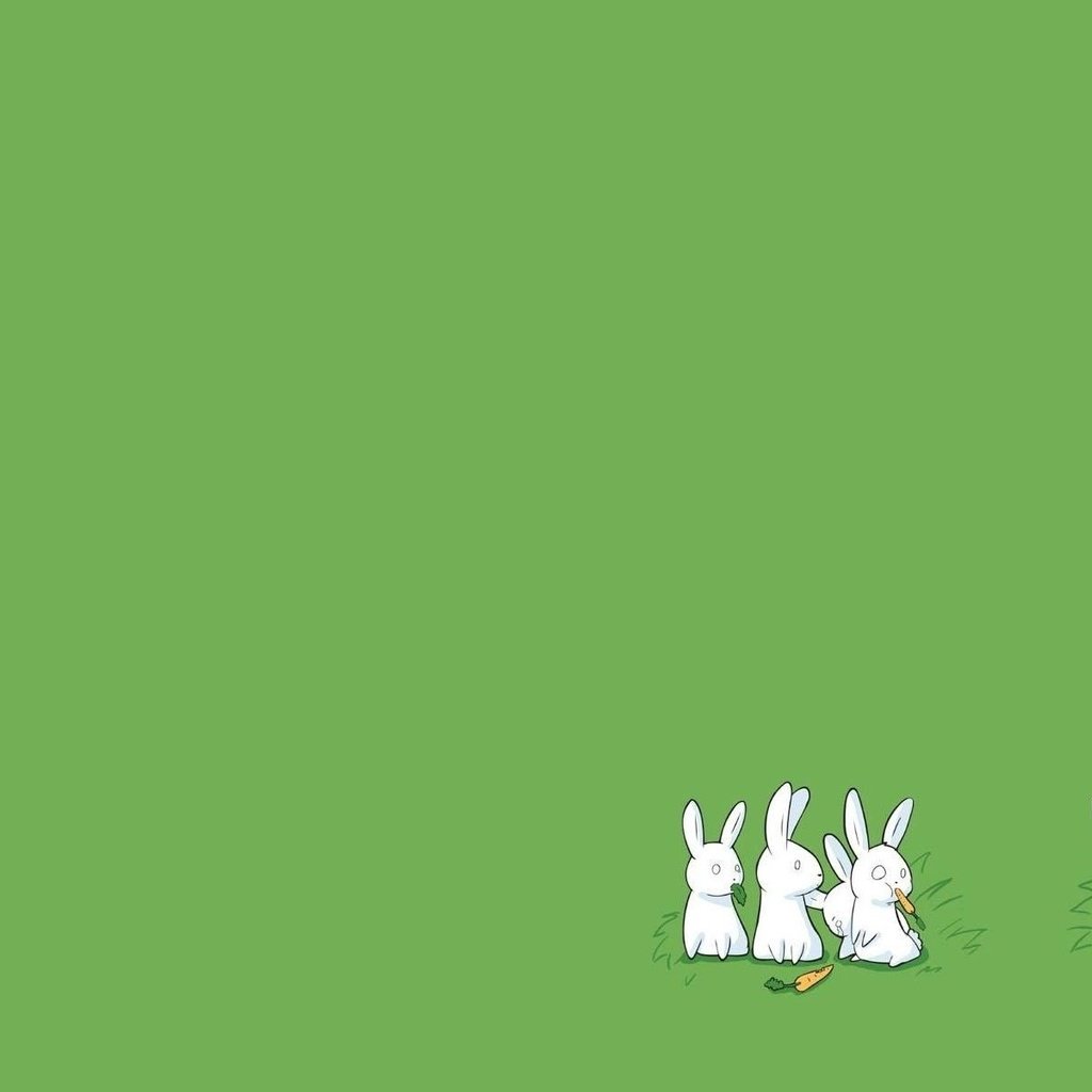 Обои юмор, кролик, белые, кролики, удивление, морковь, мясоед, humor, rabbit, white, rabbits, surprise, carrots, carnivore разрешение 1920x1200 Загрузить