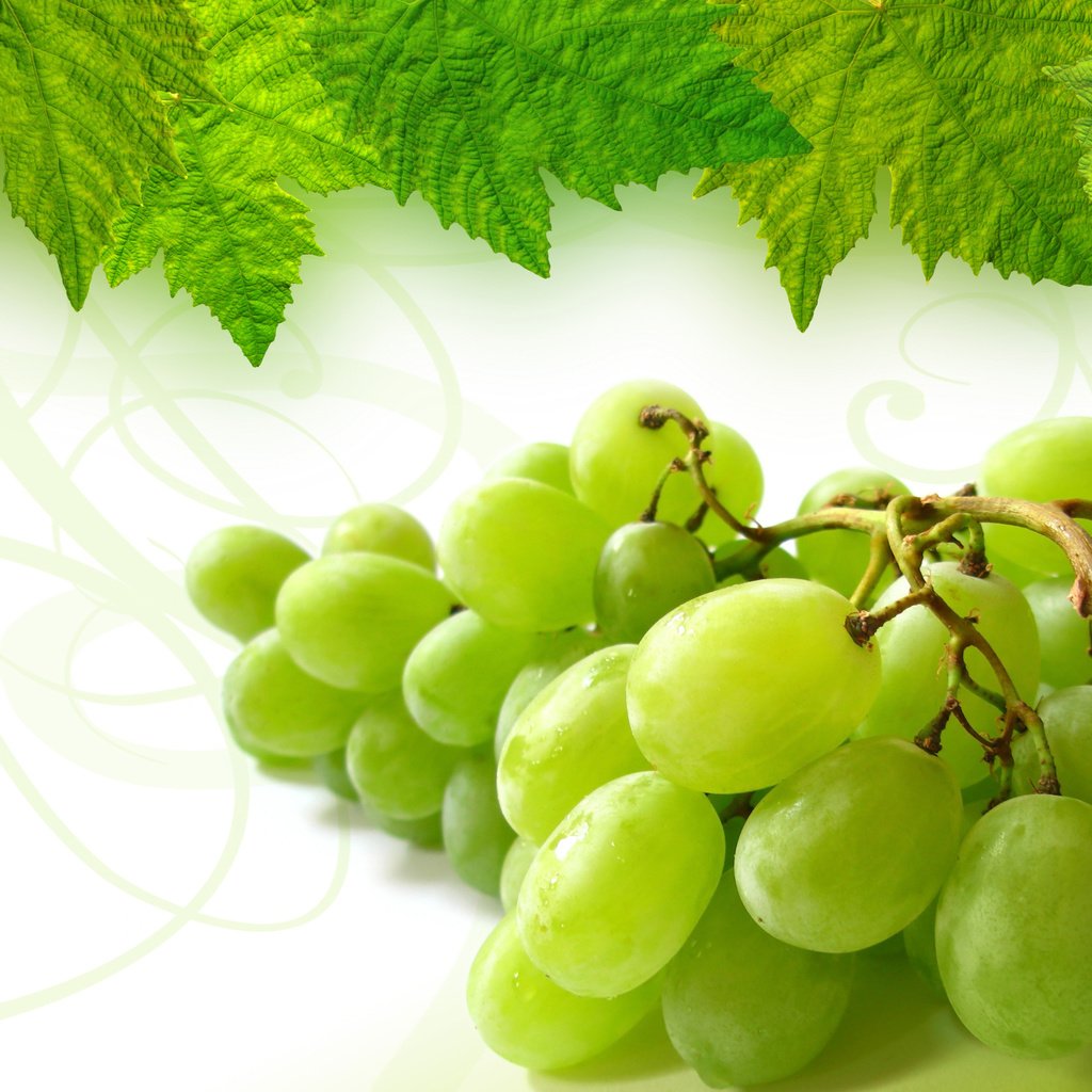 Обои листья, зелёный, виноград, гроздь, leaves, green, grapes, bunch разрешение 2800x2100 Загрузить