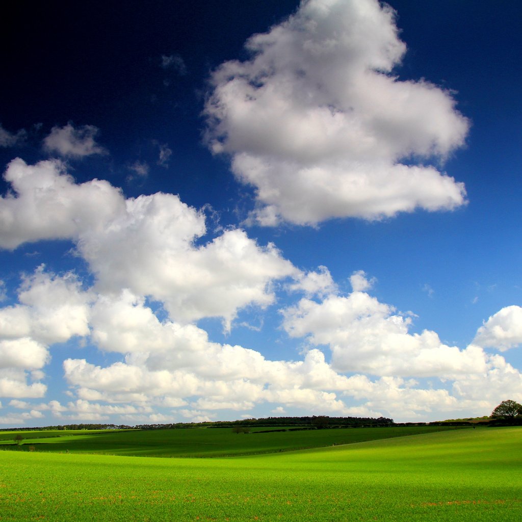 Обои небо, трава, облака, поле, горизонт, the sky, grass, clouds, field, horizon разрешение 5068x3379 Загрузить