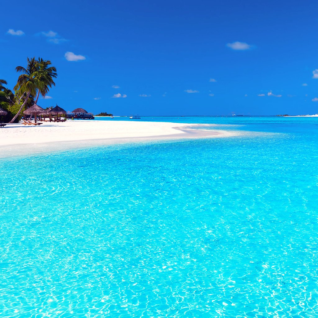 Обои пляж, тропики, мальдивы, beach, tropics, the maldives разрешение 1920x1280 Загрузить