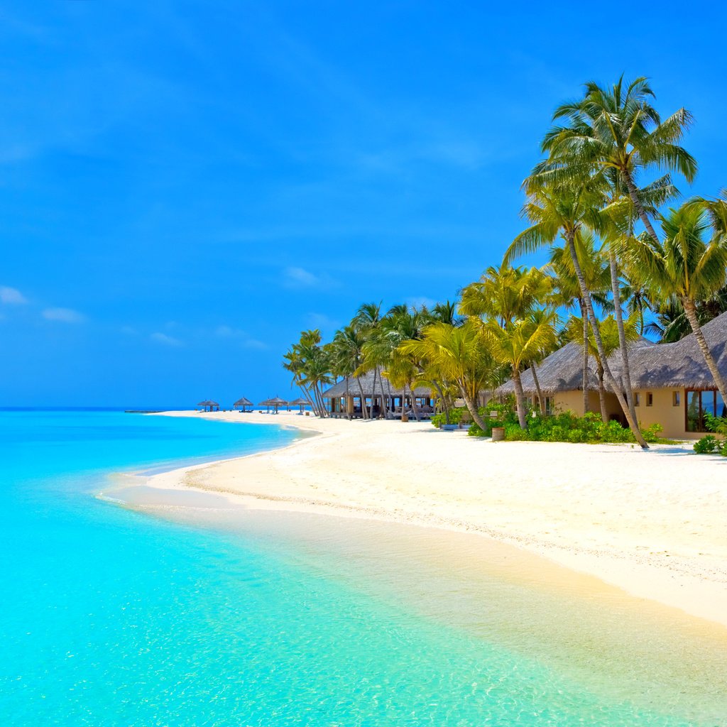 Обои пляж, бунгало, тропики, мальдивы, beach, bungalow, tropics, the maldives разрешение 2593x1930 Загрузить