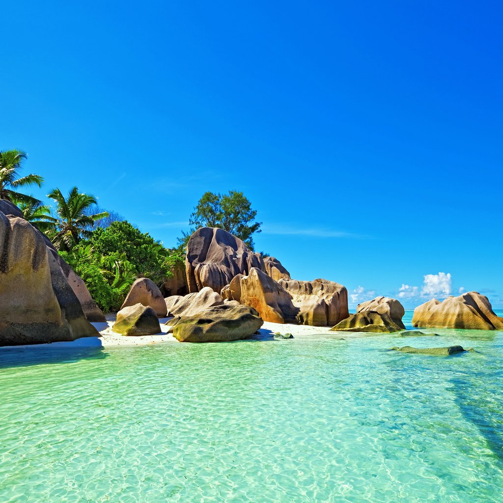 Обои море, пляж, отдых, тропики, сейшелы, sea, beach, stay, tropics, seychelles разрешение 5567x3598 Загрузить
