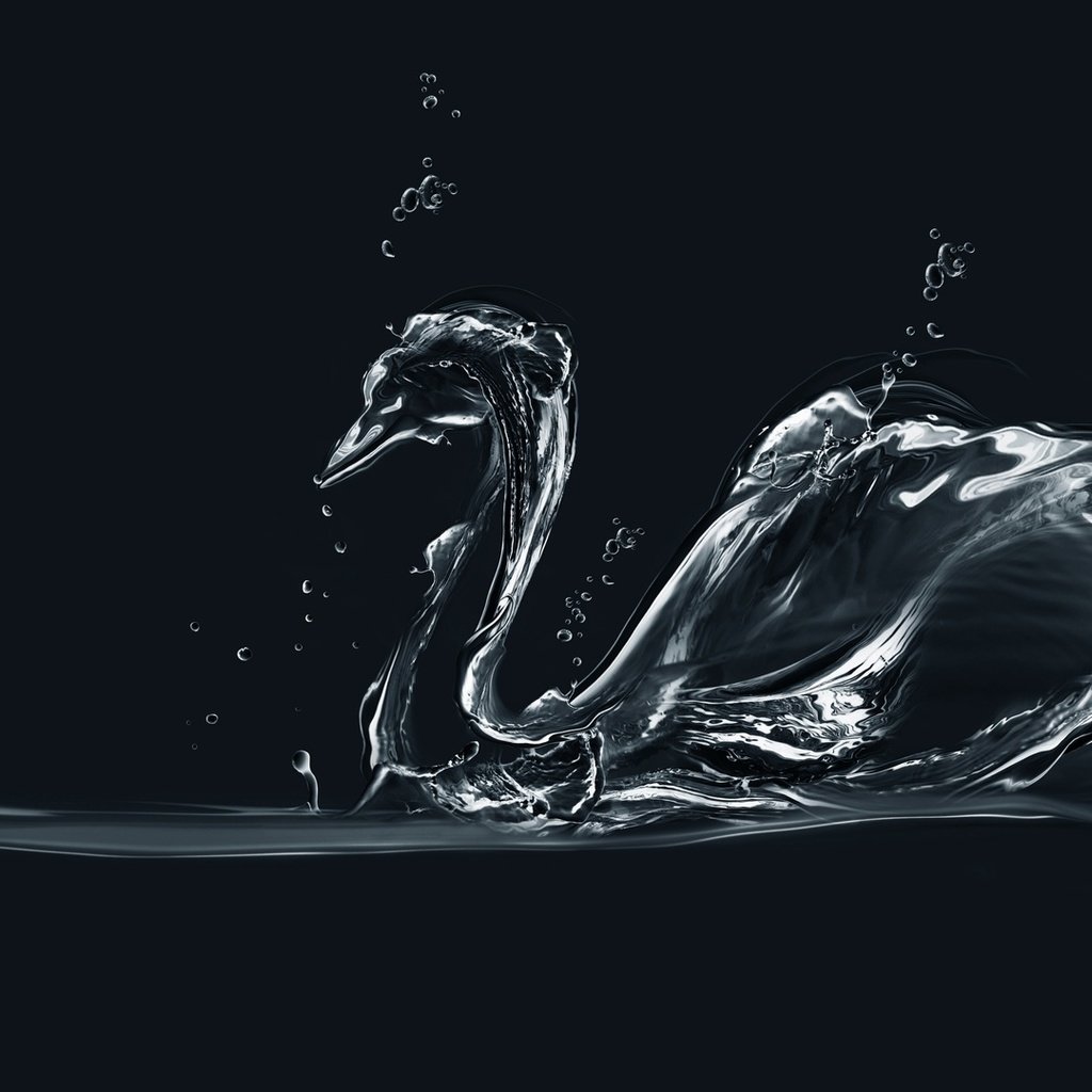 Обои вода, лебедь, минимаизм, мыльные пузыри, деятель, water, swan, minimalism, bubbles, figure разрешение 1920x1080 Загрузить