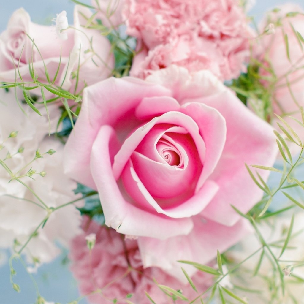 Обои цветы, роза, цвет, букет, розовый, светлый,  цветы, пинк, гипсофила, flowers, rose, color, bouquet, pink, light, gypsophila разрешение 1920x1200 Загрузить