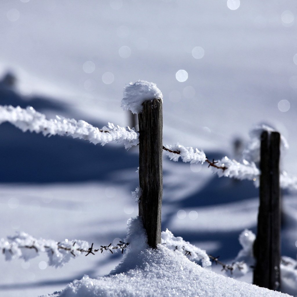 Обои снег, природа, зима, забор, snow, nature, winter, the fence разрешение 2560x1600 Загрузить