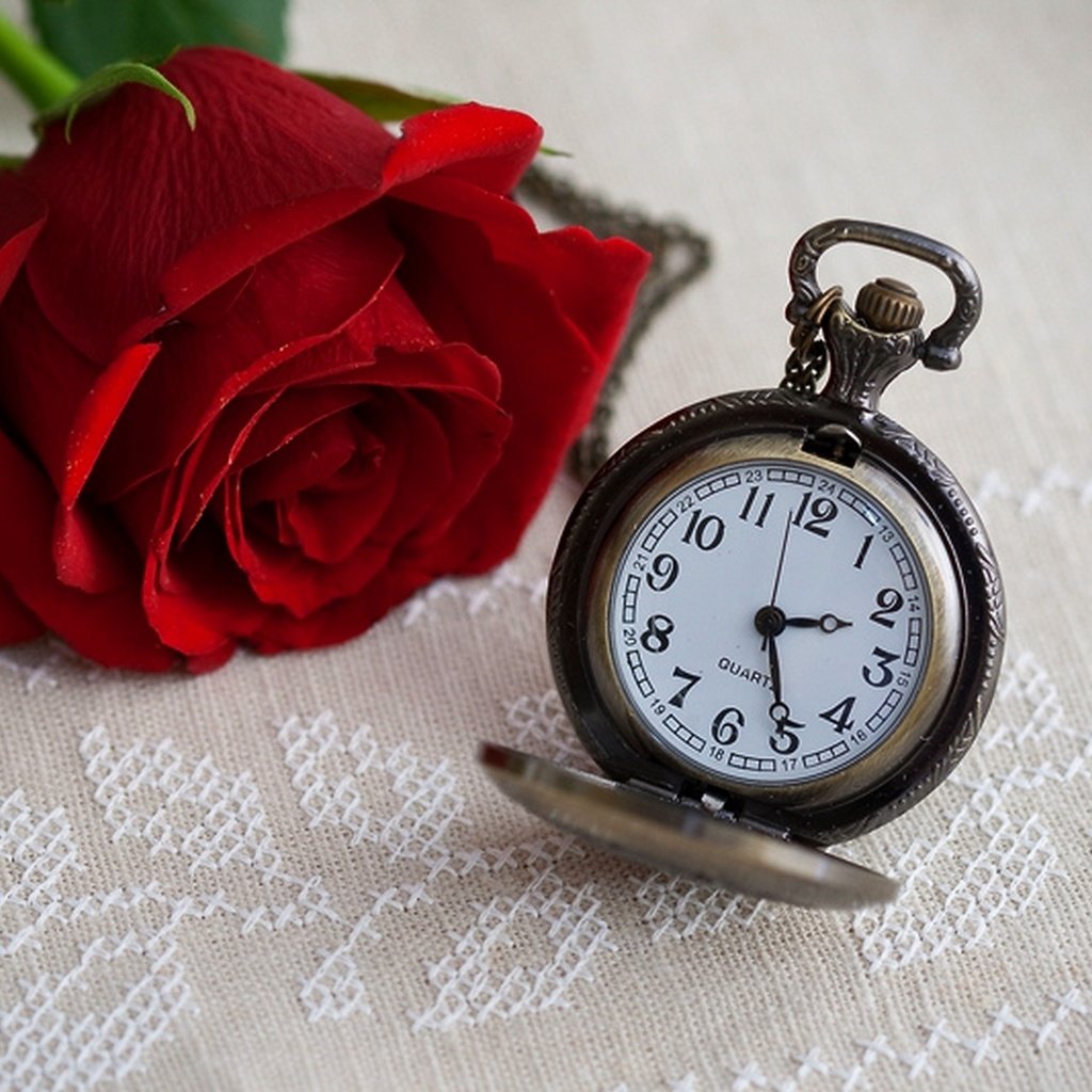 Обои цветок, роза, часы, время, времени, циферблат, цветком, clock, flower, rose, watch, time, dial разрешение 1920x1282 Загрузить