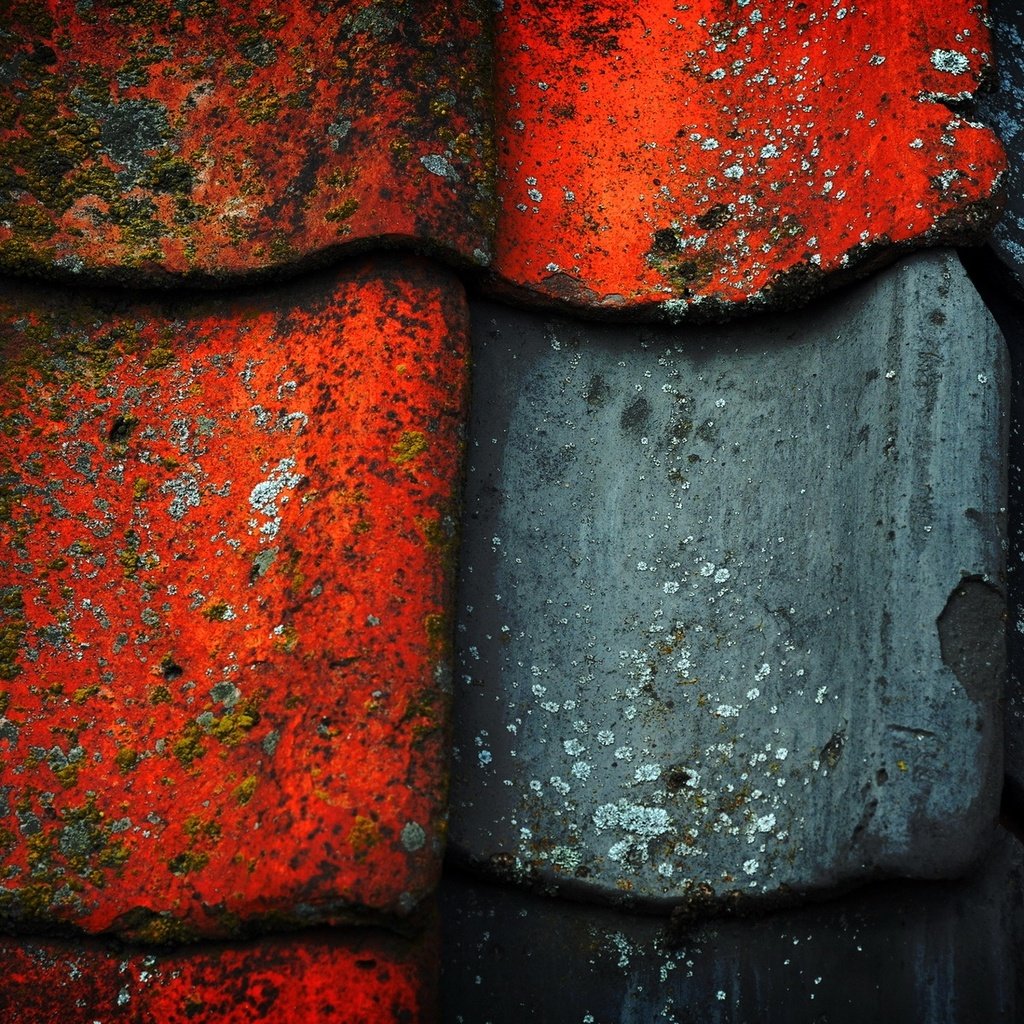 Обои цвет, черный, красный, краска, крыша, старая, черепица, color, black, red, paint, roof, old, tile разрешение 1920x1200 Загрузить