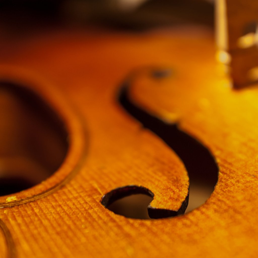 Обои макро, скрипка, музыка, виолончель, дека, macro, violin, music, cello, deca разрешение 2048x1371 Загрузить