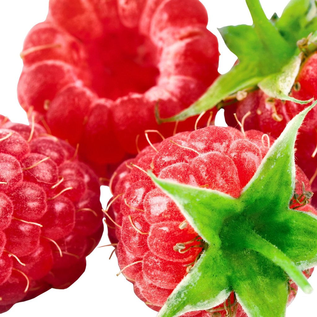 Обои малина, ягода, raspberry, berry разрешение 1920x1080 Загрузить