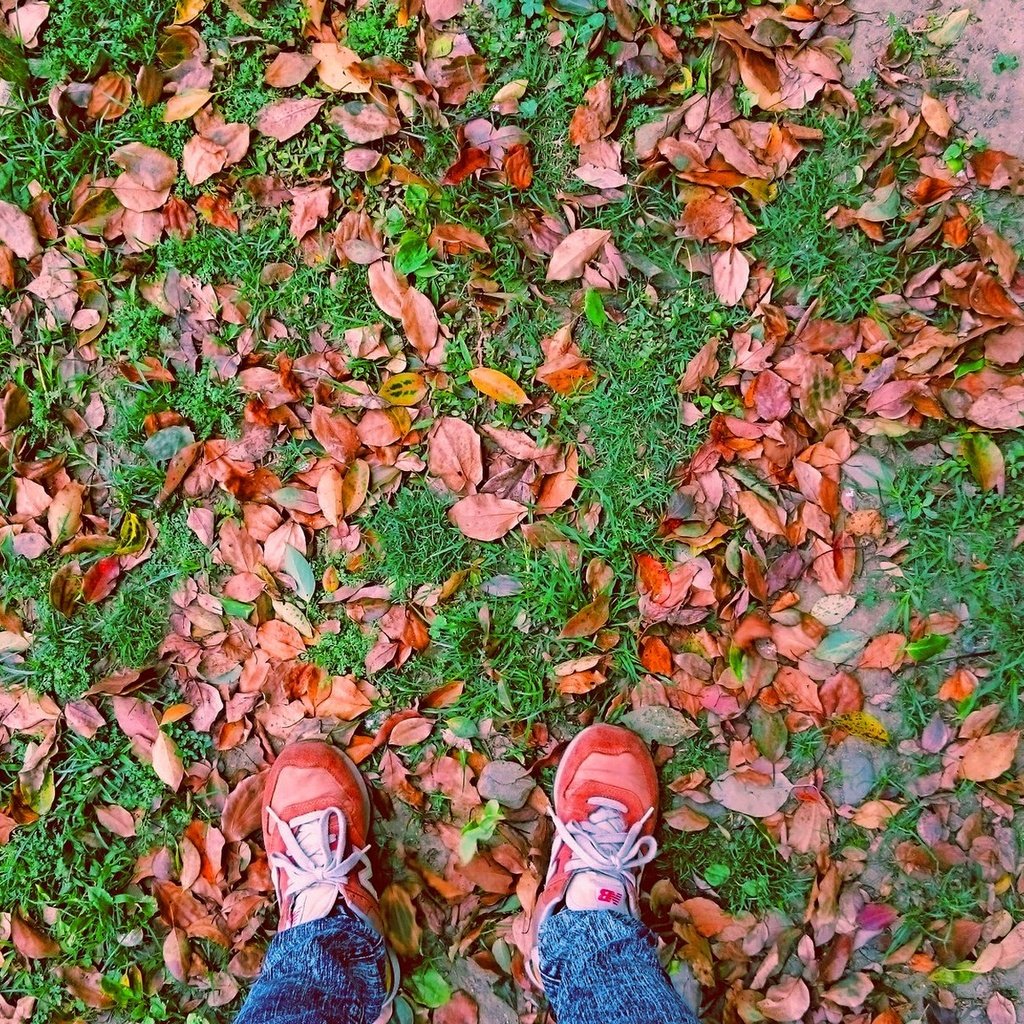 Обои листья, осень, ноги, листик, листопад, leaves, autumn, feet, leaf, falling leaves разрешение 2133x1200 Загрузить