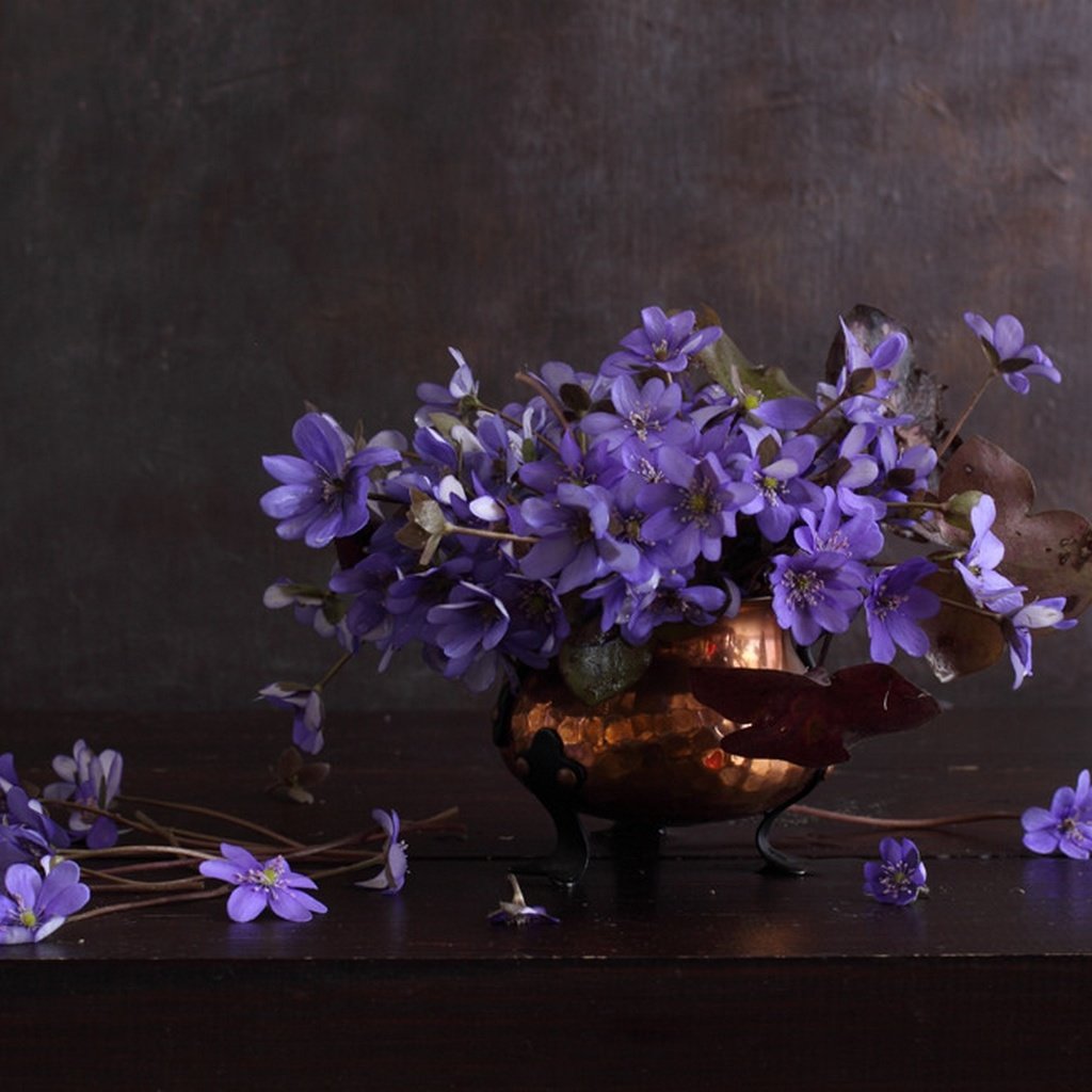 Обои цветы, букет, ваза, синие, натюрморт, анемона, ветреница, natalie panga, flowers, bouquet, vase, blue, still life, anemone разрешение 1920x1281 Загрузить