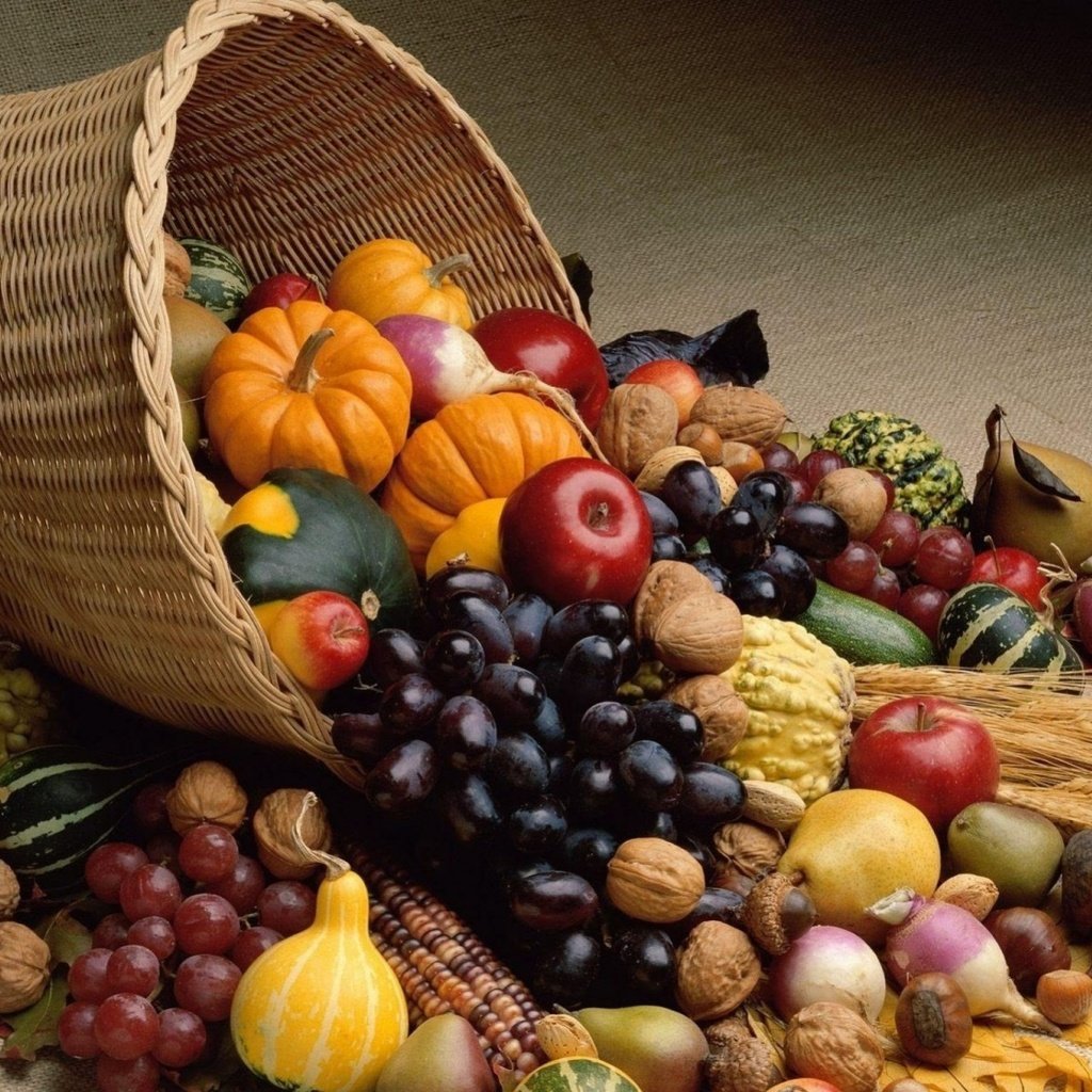 Обои тыква, орехи, груши, виноград, грецкие, фрукты, редис, яблоки, осень, урожай, овощи, рог изобилия, pumpkin, nuts, pear, grapes, walnut, fruit, radishes, apples, autumn, harvest, vegetables, cornucopia разрешение 1920x1440 Загрузить