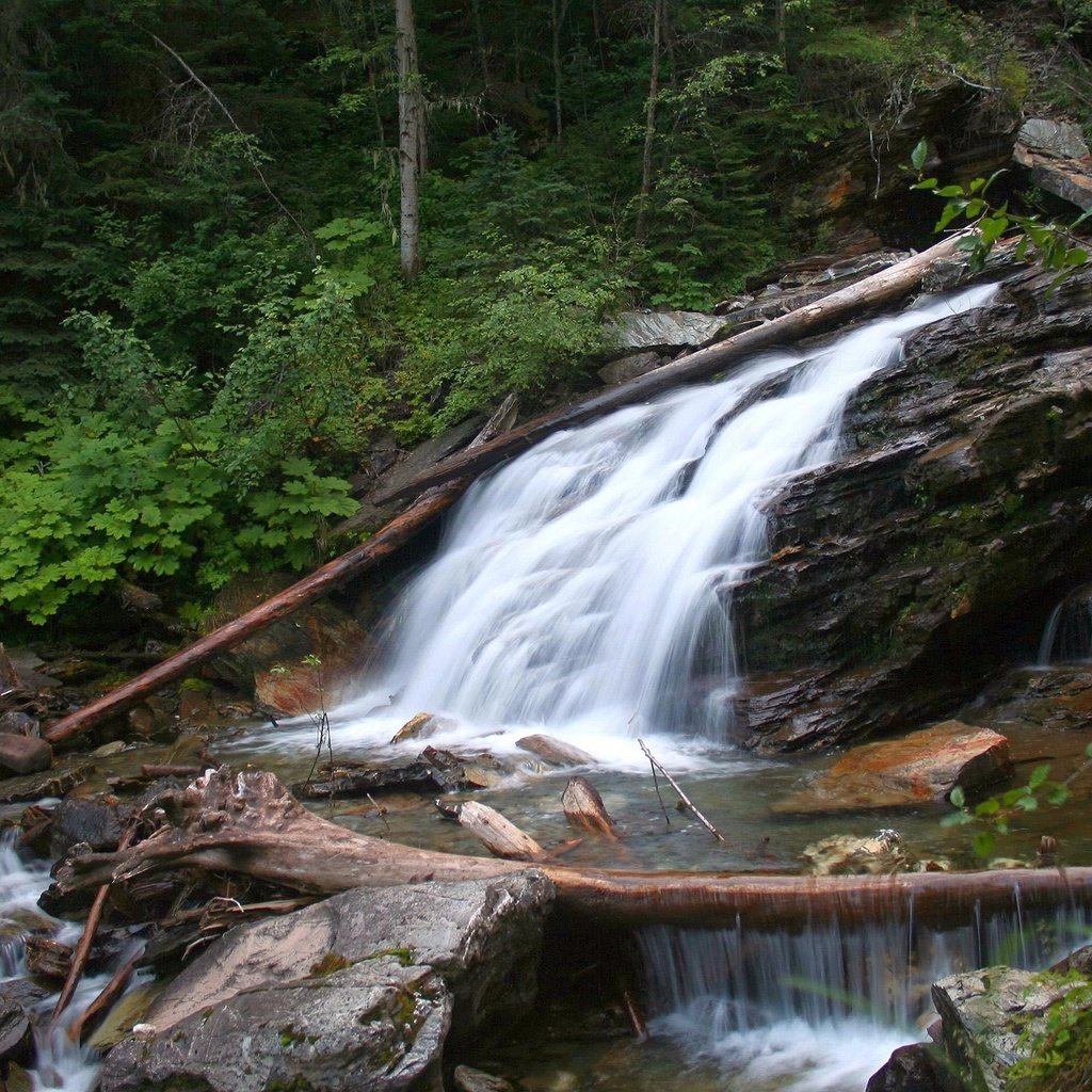 Обои деревья, природа, камни, лес, кусты, водопад, обломки, речка, trees, nature, stones, forest, the bushes, waterfall, the wreckage, river разрешение 2560x1600 Загрузить