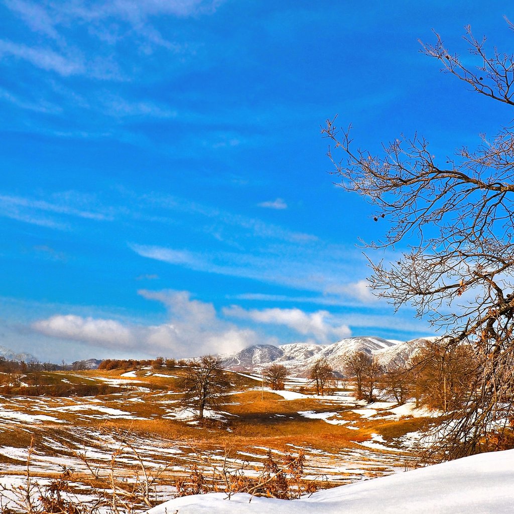 Обои небо, деревья, горы, снег, долина, the sky, trees, mountains, snow, valley разрешение 2048x1152 Загрузить