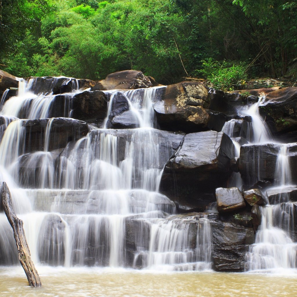 Обои деревья, природа, водопад, деревь, the nature, a waterfall, trees, nature, waterfall разрешение 2880x1920 Загрузить