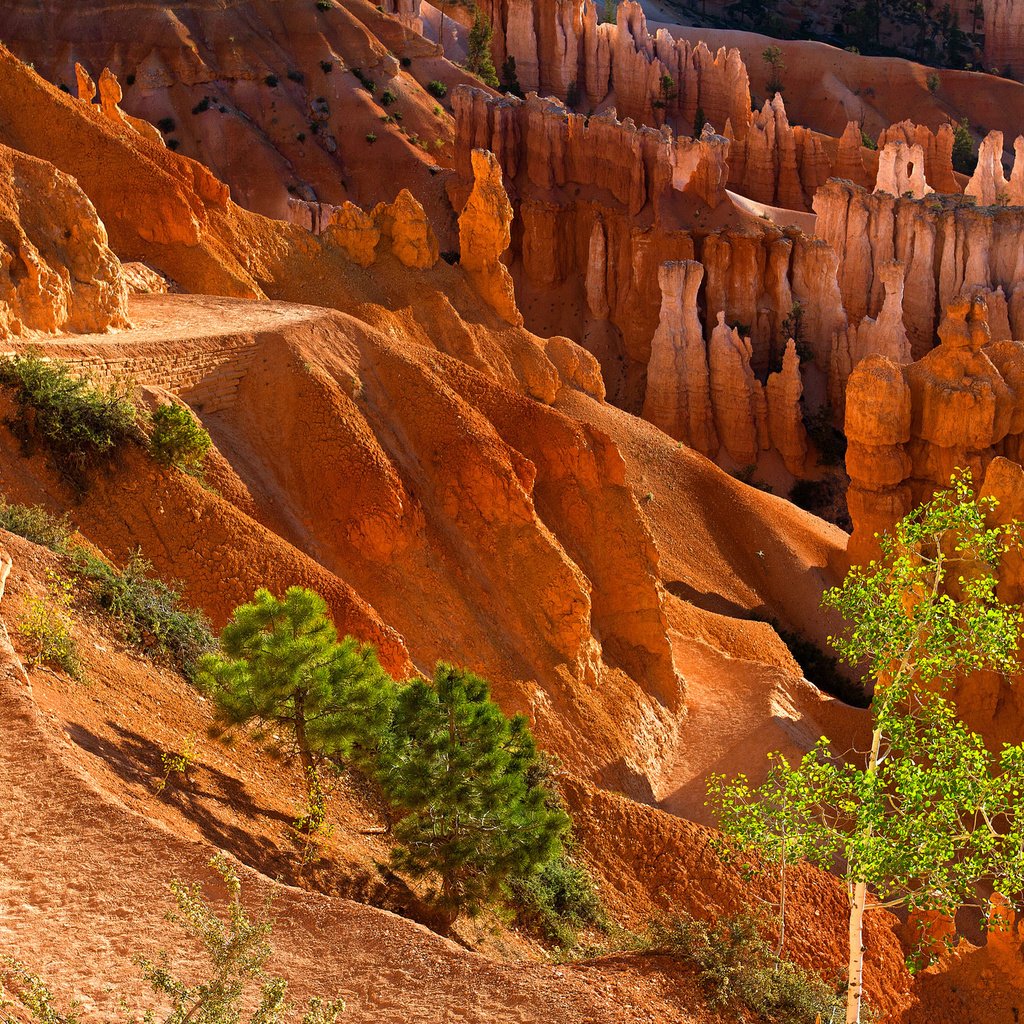 Обои деревья, горы, скалы, камни, каньон, trees, mountains, rocks, stones, canyon разрешение 2048x1365 Загрузить