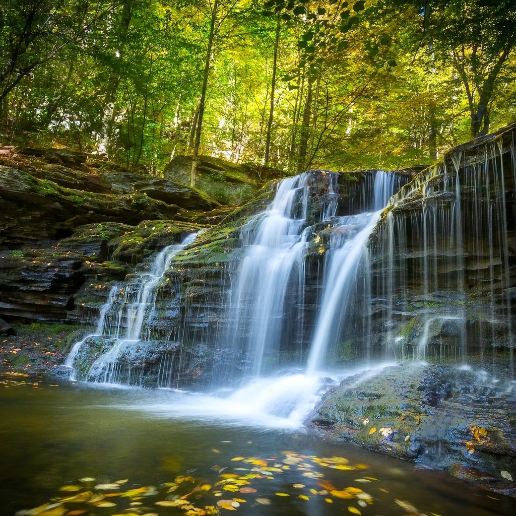 Обои лес, водопад, осень, пенсильвания, каскад, forest, waterfall, autumn, pa, cascade разрешение 2560x1920 Загрузить