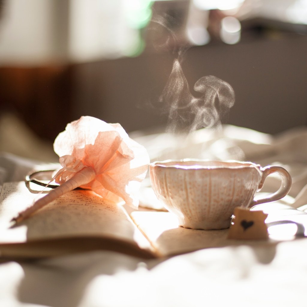 Обои кофе, дым, чашка, книга, постель, coffee, smoke, cup, book, bed разрешение 5616x3744 Загрузить