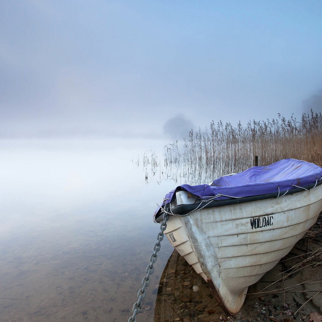 Обои озеро, пейзаж, туман, лодка, lake, landscape, fog, boat разрешение 2560x1600 Загрузить
