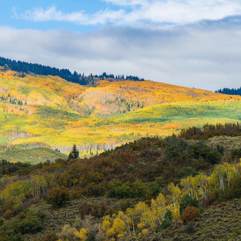 Обои деревья, горы, холмы, пейзаж, осень, trees, mountains, hills, landscape, autumn разрешение 1920x1280 Загрузить