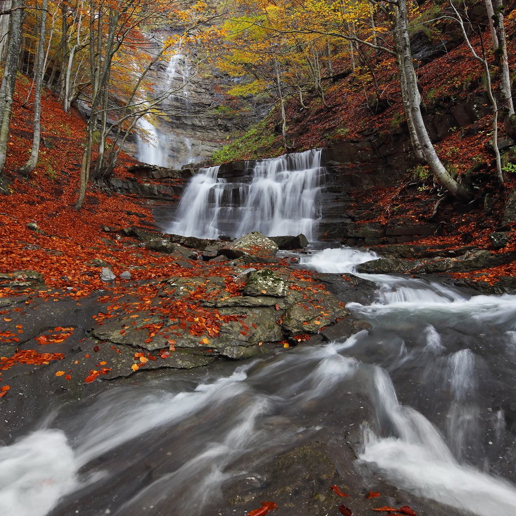 Обои река, природа, лес, водопад, осень, river, nature, forest, waterfall, autumn разрешение 1998x1334 Загрузить