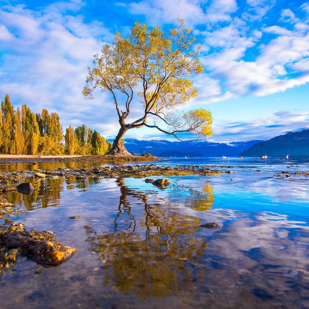 Обои вода, горы, дерево, камни, лес, отражение, оезро, water, mountains, tree, stones, forest, reflection, outro разрешение 1920x1087 Загрузить