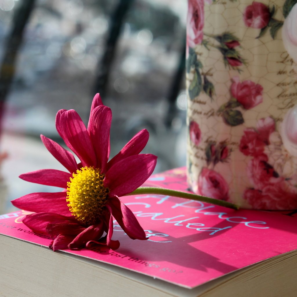 Обои цветок, лепестки, кружка, розовые, чашка, книга, flower, petals, mug, pink, cup, book разрешение 2560x1600 Загрузить